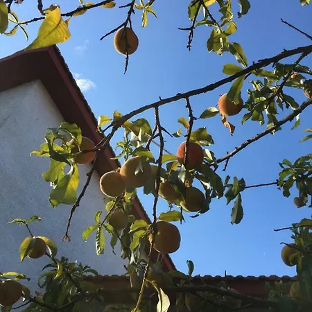 La Semplice Nel Blu * Villa San Pietro